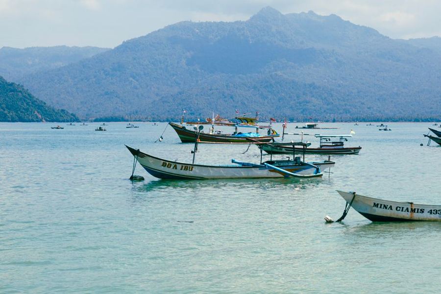 Fishing boats anchored in clear water off a green island